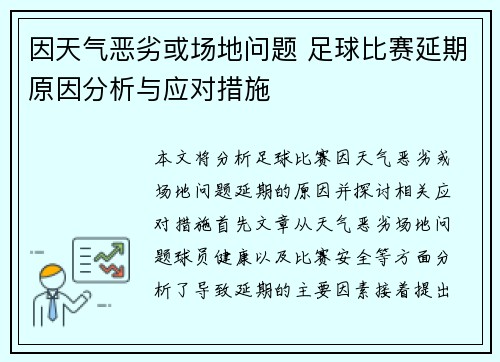 因天气恶劣或场地问题 足球比赛延期原因分析与应对措施