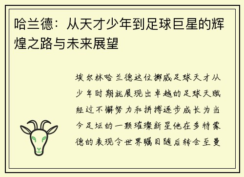 哈兰德：从天才少年到足球巨星的辉煌之路与未来展望
