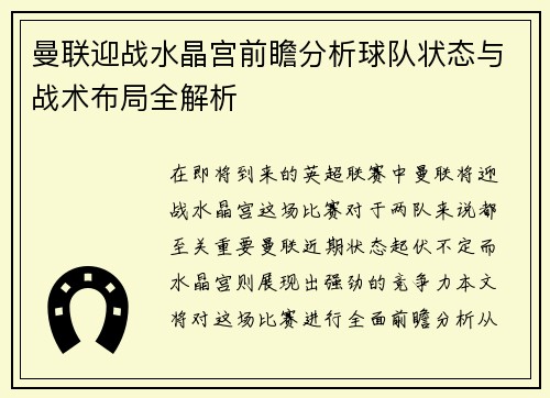 曼联迎战水晶宫前瞻分析球队状态与战术布局全解析