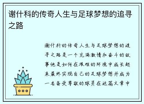 谢什科的传奇人生与足球梦想的追寻之路